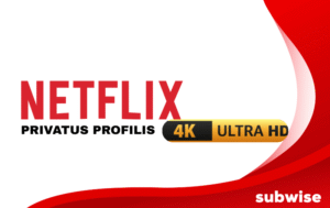 Netflix prenumerata (privatus profilis)